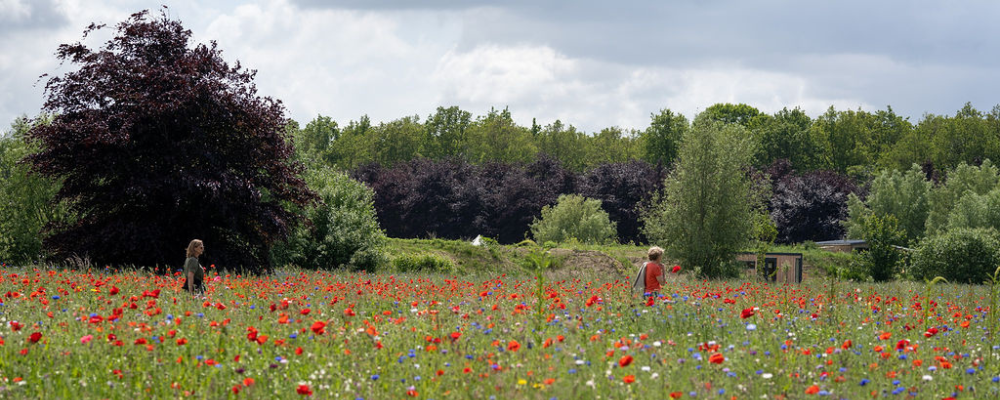 Yugen Forest Communicatie Fest Staying Human